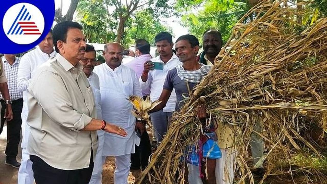 Karnataka Rains: ಬೆಳೆ, ಮನೆ ಹಾನಿ ಕುಟುಂಬಗಳಿಗೆ ಪರಿಹಾರ: ಸಚಿವ ಸಿ.ಸಿ.ಪಾಟೀಲ Karnataka Rains: ಬೆಳೆ, ಮನೆ ಹಾನಿ ಕುಟುಂಬಗಳಿಗೆ ಪರಿಹಾರ: ಸಚಿವ ಸಿ.ಸಿ.ಪಾಟೀಲ