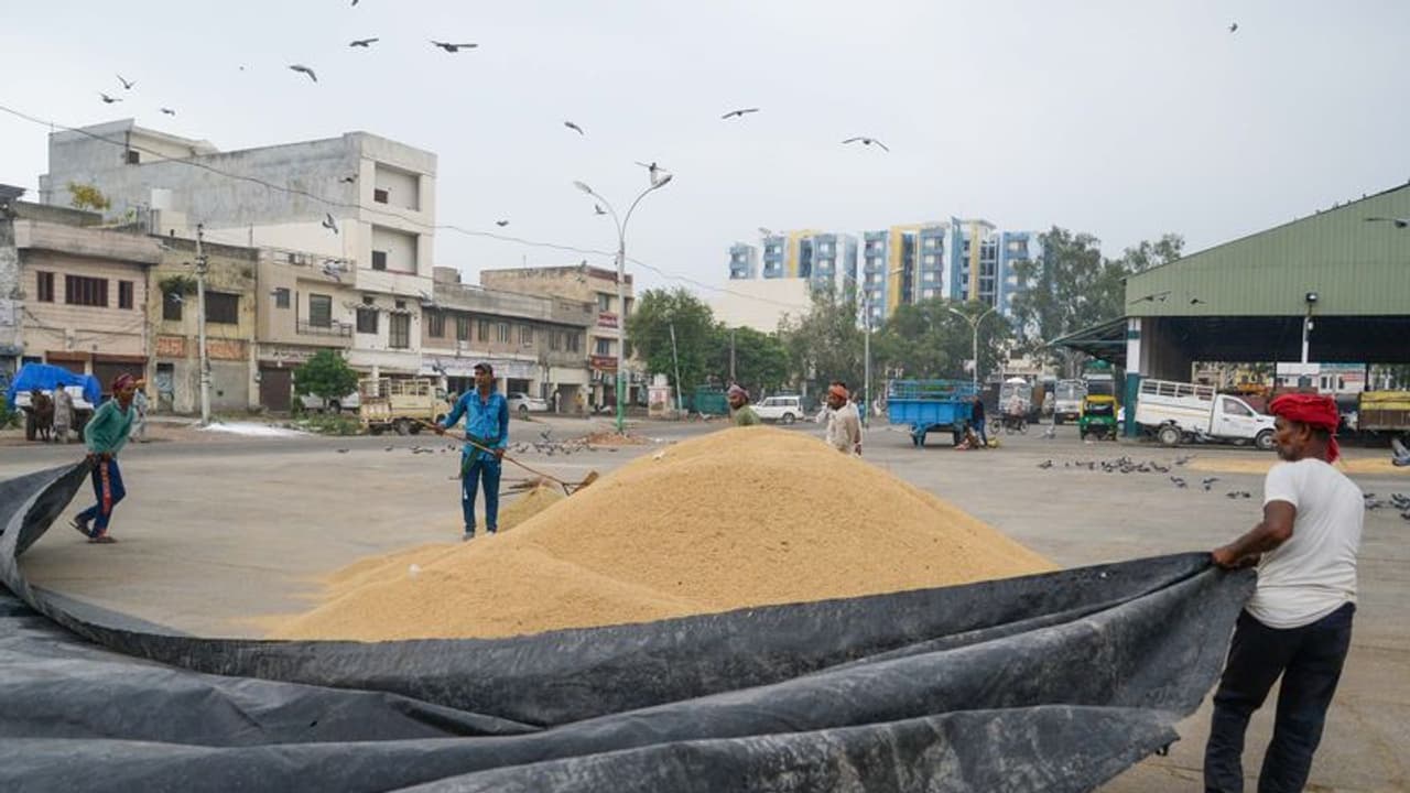 Monsoon आ अब लौट चलें: कम बारिश के बावजूद UP के किसानों को टेंशन नहीं, कई राज्यों में धान पर असर