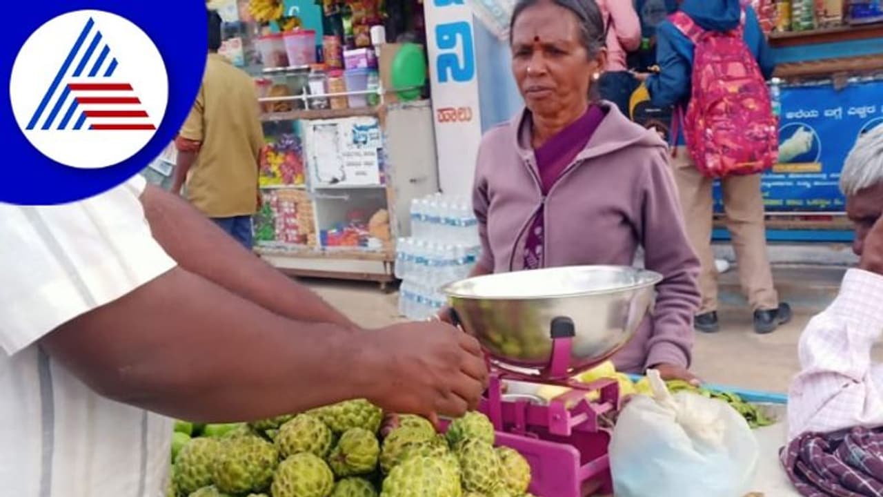 Chikkaballapur: ಭಾರೀ ಮಳೆಗೆ ಸೀತಾಫಲ ಭರ್ಜರಿ ಫಸಲು Chikkaballapur: ಭಾರೀ ಮಳೆಗೆ ಸೀತಾಫಲ ಭರ್ಜರಿ ಫಸಲು