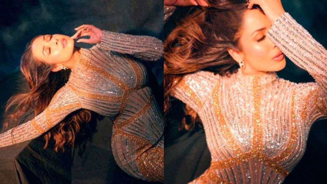 Malaika Arora: ഗൗണില്‍ ഹോട്ട് ലുക്കിൽ മലൈക അറോറ; ചിത്രങ്ങള്‍ വൈറല്‍