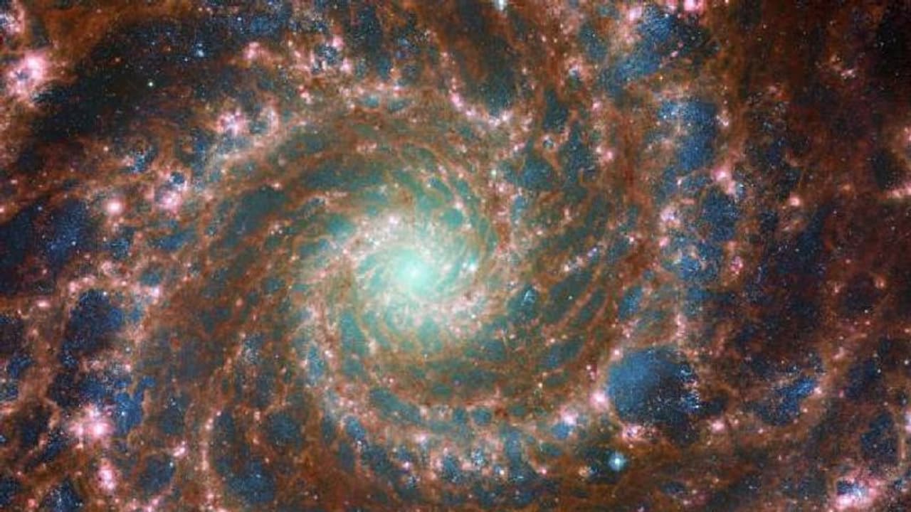 விண்வெளி நிகழ்வுகள் முதல் அனிமேஷன் தொடர் வரை... இலவசமாக ஸ்ட்ரீமிங் செய்யும் நாசா டிவி! விண்வெளி நிகழ்வுகள் முதல் அனிமேஷன் தொடர் வரை... இலவசமாக ஸ்ட்ரீமிங் செய்யும் நாசா டிவி!