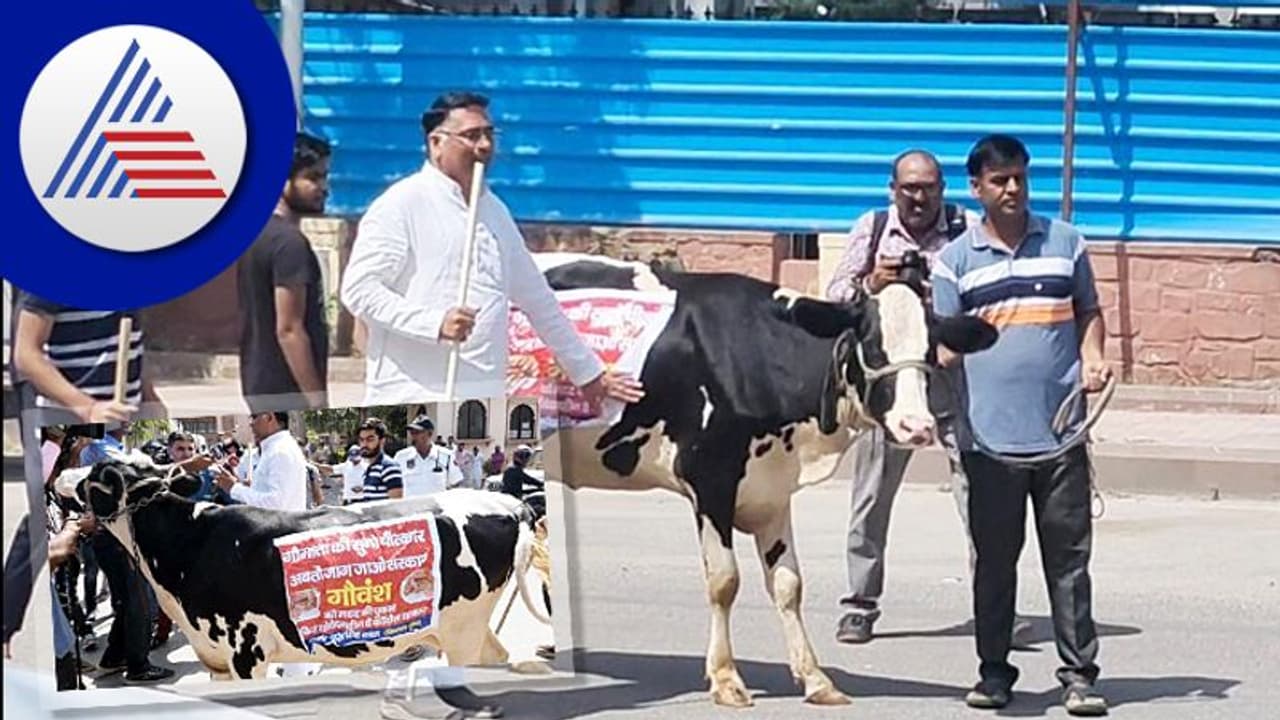 ಲಂಪಿ ರೋಗದ ಬಗ್ಗೆ ಮೌನ: ಪ್ರತಿಭಟನೆಗೆ ವಿಧಾನಸೌಧಕ್ಕೆ ಹಸುವಿನೊಂದಿಗೆ ಬಂದ ಶಾಸಕ: ಆಮೇಲೇನಾಯ್ತು ನೋಡಿ