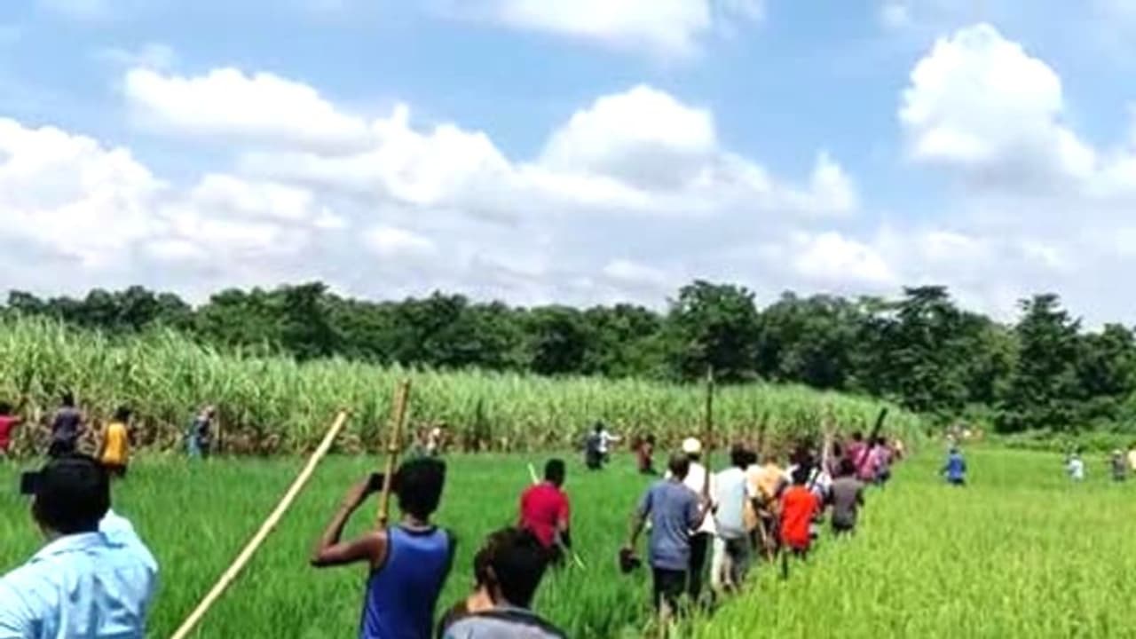 वाल्मिकी टाईगर रिजर्व में बाघ की दहशतः फिर एक किसान को बनाया शिकार, लोगों में आक्रोश व दहशत वाल्मिकी टाईगर रिजर्व में बाघ की दहशतः फिर एक किसान को बनाया शिकार, लोगों में आक्रोश व दहशत