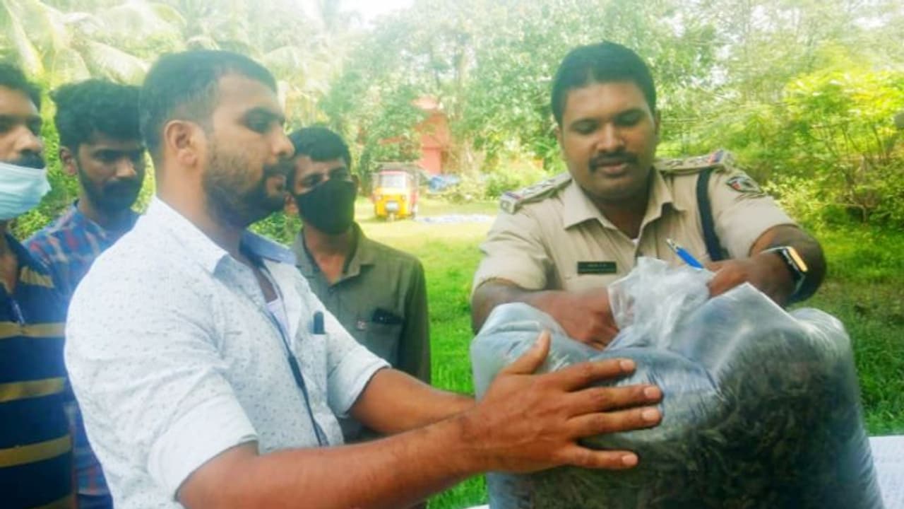 'ടിക്കറ്റെടുക്കും, ആളില്ലാ സ്റ്റേഷനിലിറങ്ങും, പൊലീസിനെ വെട്ടിക്കാന് പലവഴി'; കഞ്ചാവുമായി യുവാവ് പിടിയില് 'ടിക്കറ്റെടുക്കും, ആളില്ലാ സ്റ്റേഷനിലിറങ്ങും, പൊലീസിനെ വെട്ടിക്കാന് പലവഴി'; കഞ്ചാവുമായി യുവാവ് പിടിയില്