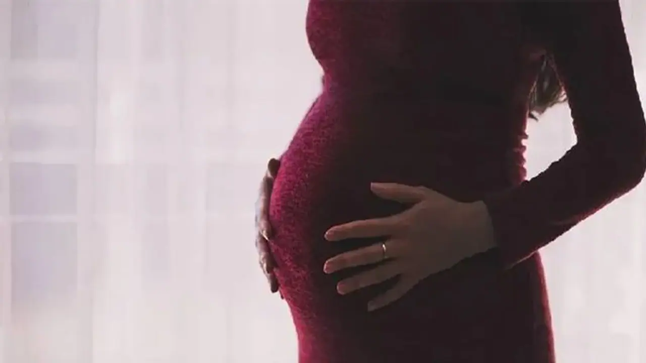 Smoking and Pregnancy : പുകവലിയും ​ഗർഭധാരണവും; പുതിയ പഠനം പറയുന്നത് ഇങ്ങനെ 