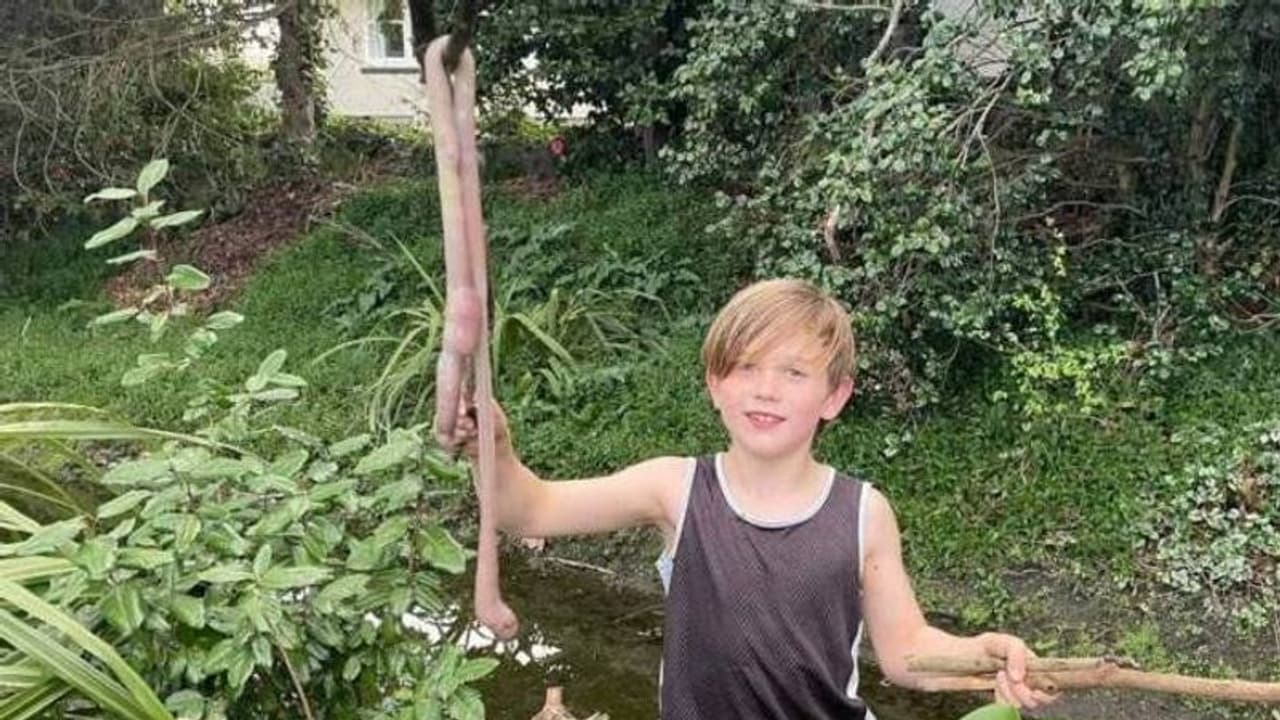 ഭീമൻ മണ്ണിരയെ കണ്ട് ഭയന്ന് ഒമ്പത് വയസ്സുകാരൻ, ചൂണ്ടയിടാൻ പിടിച്ചത് മൂന്നടിയുള്ള മണ്ണിരയെ