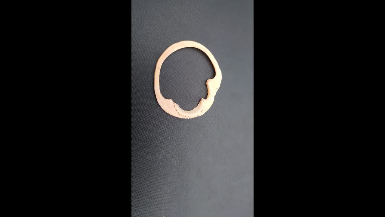 வாணிப தொடர்பு குறித்து பறைசாற்றும் தொல் பொருட்கள்.. அகழ்வாராய்ச்சியில் கண்டெடுப்பு