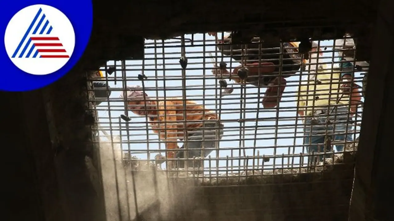 Long awaited Jakkuru railway flyover in Bengaluru nears completion after a decade