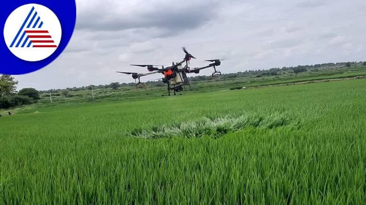 ಯಾದಗಿರಿ: ರೈತರ ಮನ ಹಿಗ್ಗಿಸಿದ ಡ್ರೋನ್ ಚಮತ್ಕಾರ..! ಯಾದಗಿರಿ: ರೈತರ ಮನ ಹಿಗ್ಗಿಸಿದ ಡ್ರೋನ್ ಚಮತ್ಕಾರ..!