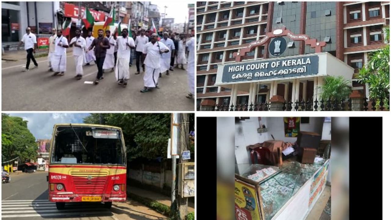 'ഇത്തരം അക്രമങ്ങൾ ഉരുക്ക് മുഷ്ടി ഉപയോഗിച്ച് നേരിടണം'; അടിയന്തര നടപടിക്ക് നി‍ര്‍ദ്ദേശിച്ച് കോടതി, കേസെടുത്തു