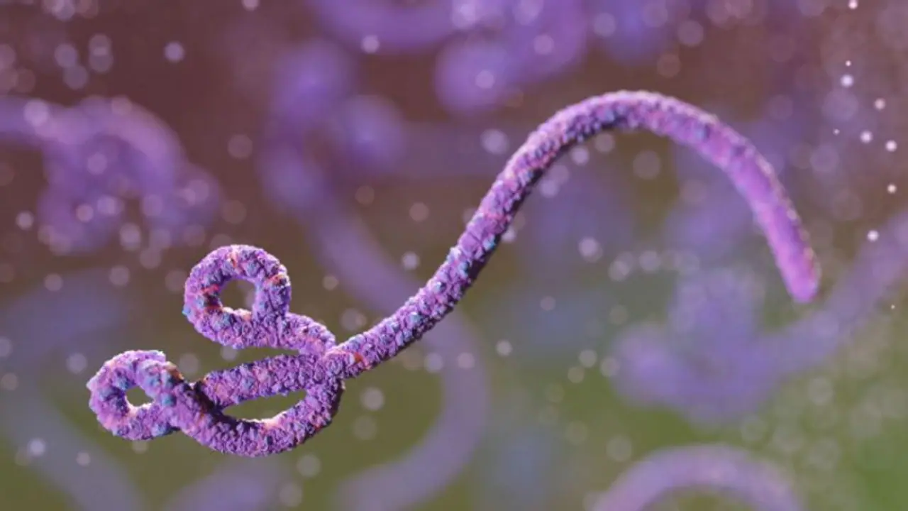 Ebola: ഉഗാണ്ടയില്‍ എബോള മരണം; അറിയാം ഈ രോഗലക്ഷണങ്ങള്‍...