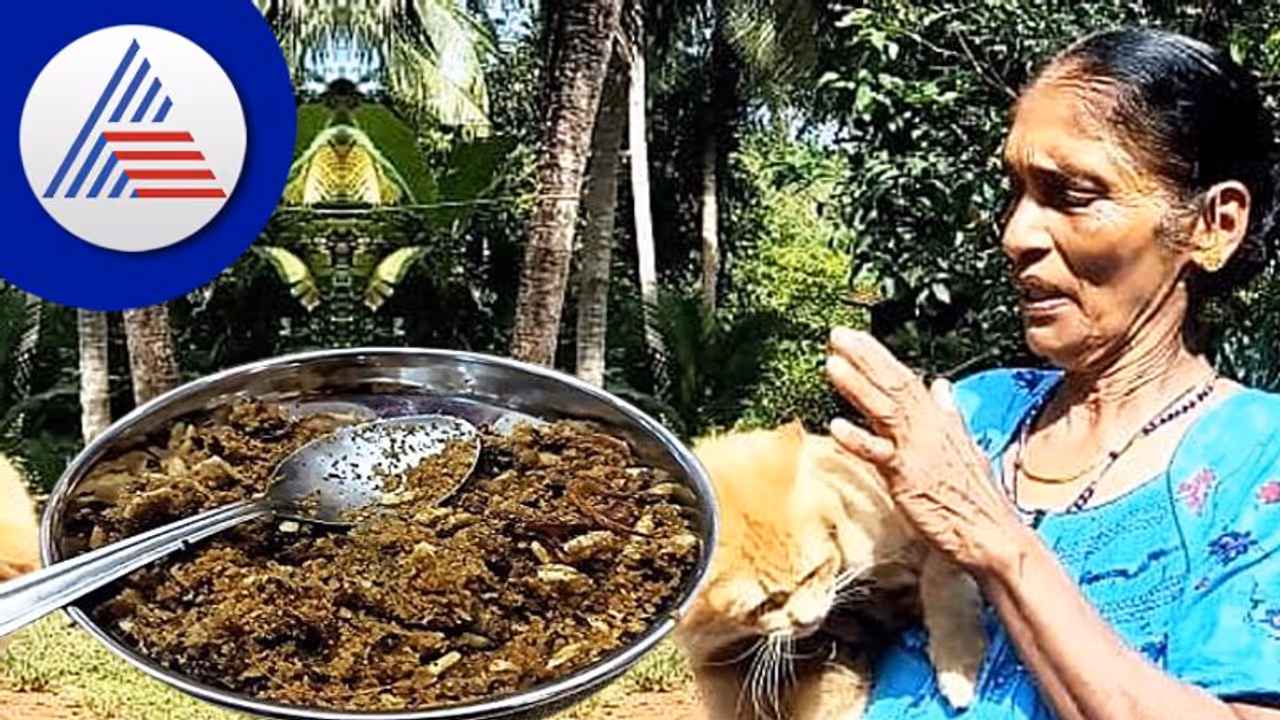 ಶಂಕರಪುರದ ಅಜ್ಜಿ ಮಾಡೋ ಸಾಂಪ್ರದಾಯಿಕ 'ಬಾಣಂತಿ‌ಮದ್ದು' ವಿದೇಶಗಳಲ್ಲೂ ಫೇಮಸ್