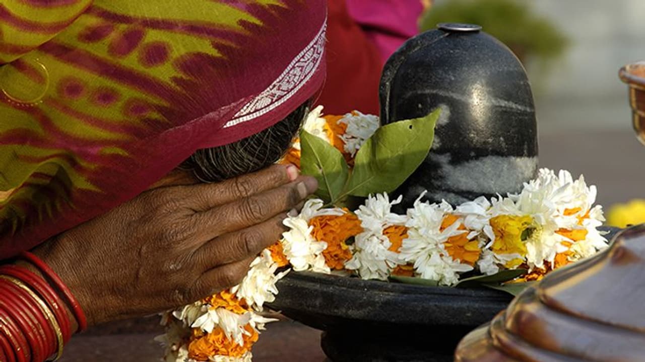 Ashwin Shivratri 2022: 24 सितंबर को करें मासिक शिवरात्रि व्रत पूजा, जानें विधि, मुहूर्त व आरती Ashwin Shivratri 2022: 24 सितंबर को करें मासिक शिवरात्रि व्रत पूजा, जानें विधि, मुहूर्त व आरती