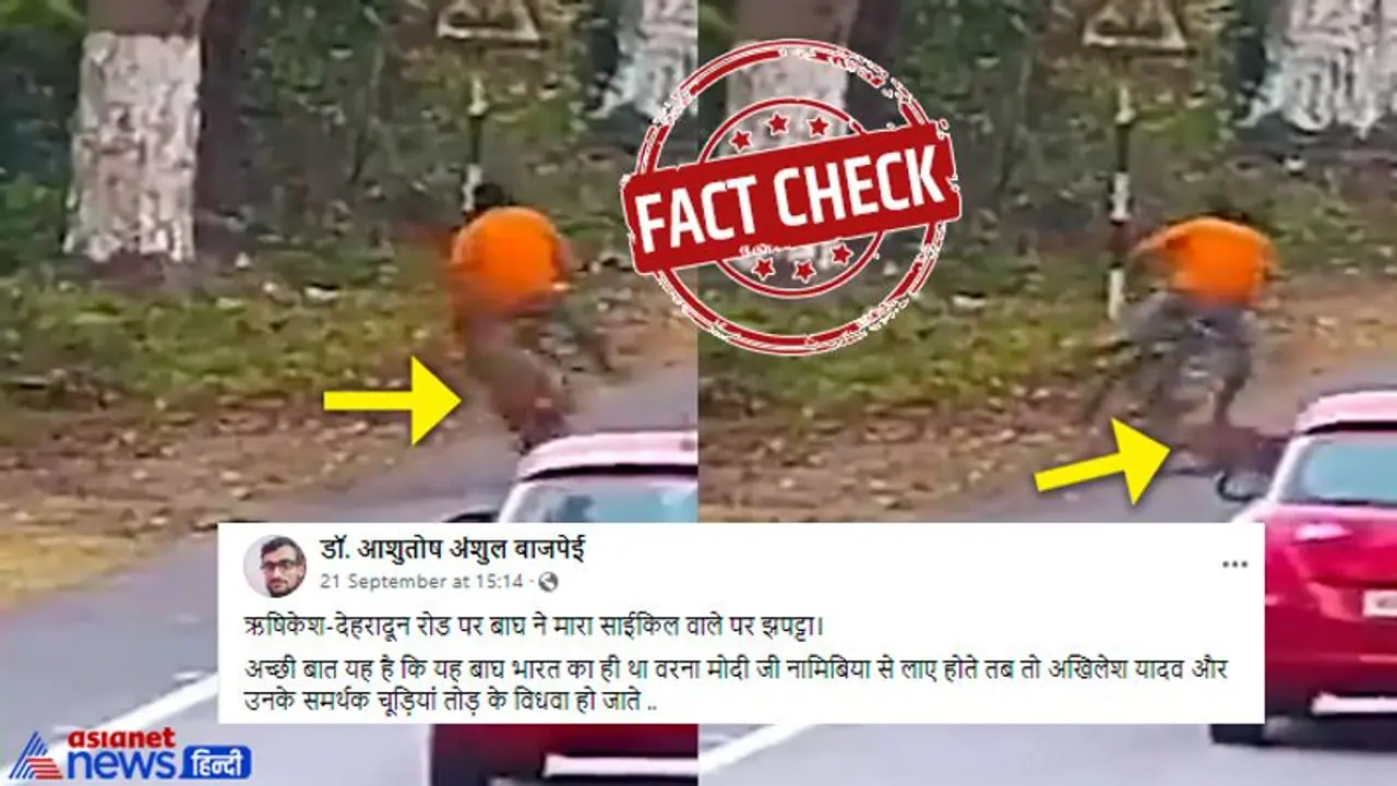 FACT CHECK: ऋषिकेश देहरादून रोड और साइकिल सवार पर बाघ का खतरनाक झपट्टा...पड़ताल में दो दावे दोनों गलत