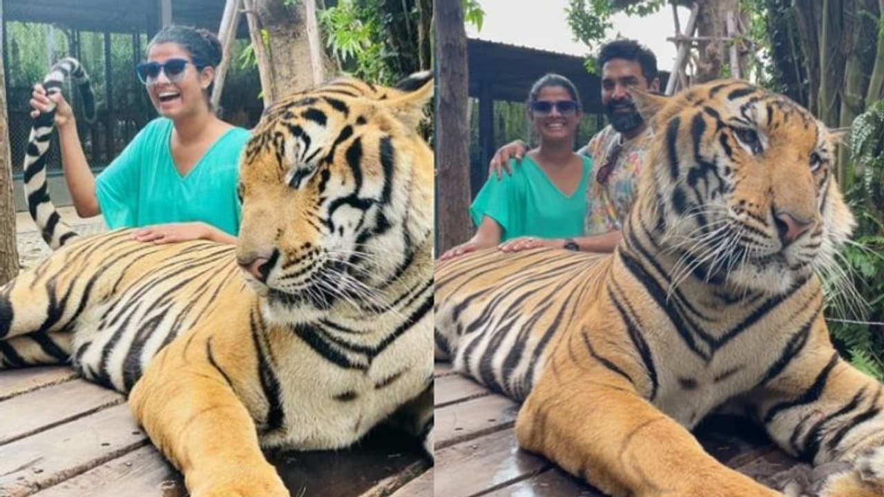 'പുലിവാല് പിടിച്ച്' അമൃതയും ഗോപി സുന്ദറും; അതിവേഗം വൈറലായി പട്ടായ ഡയറീസ് 'പുലിവാല് പിടിച്ച്' അമൃതയും ഗോപി സുന്ദറും; അതിവേഗം വൈറലായി പട്ടായ ഡയറീസ്