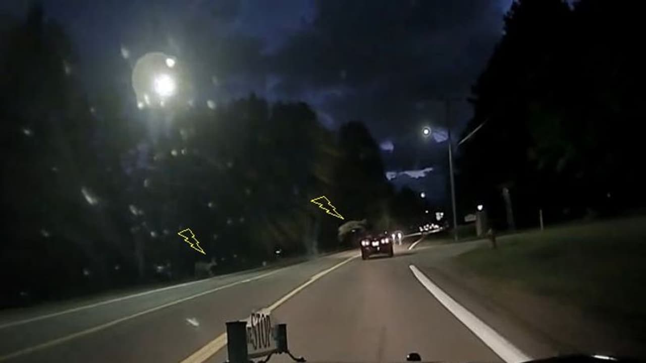 सड़क पार कर रहे हिरन के सामने अचानक आ गई तेज रफ्तार कार और फिर.. सड़क पार कर रहे हिरन के सामने अचानक आ गई तेज रफ्तार कार और फिर..