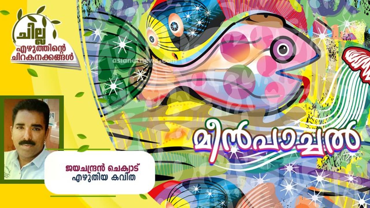 Malayalam Poem : മീന്‍പാച്ചല്‍, ജയചന്ദ്രന്‍ ചെക്യാട് എഴുതിയ കവിതകള്‍