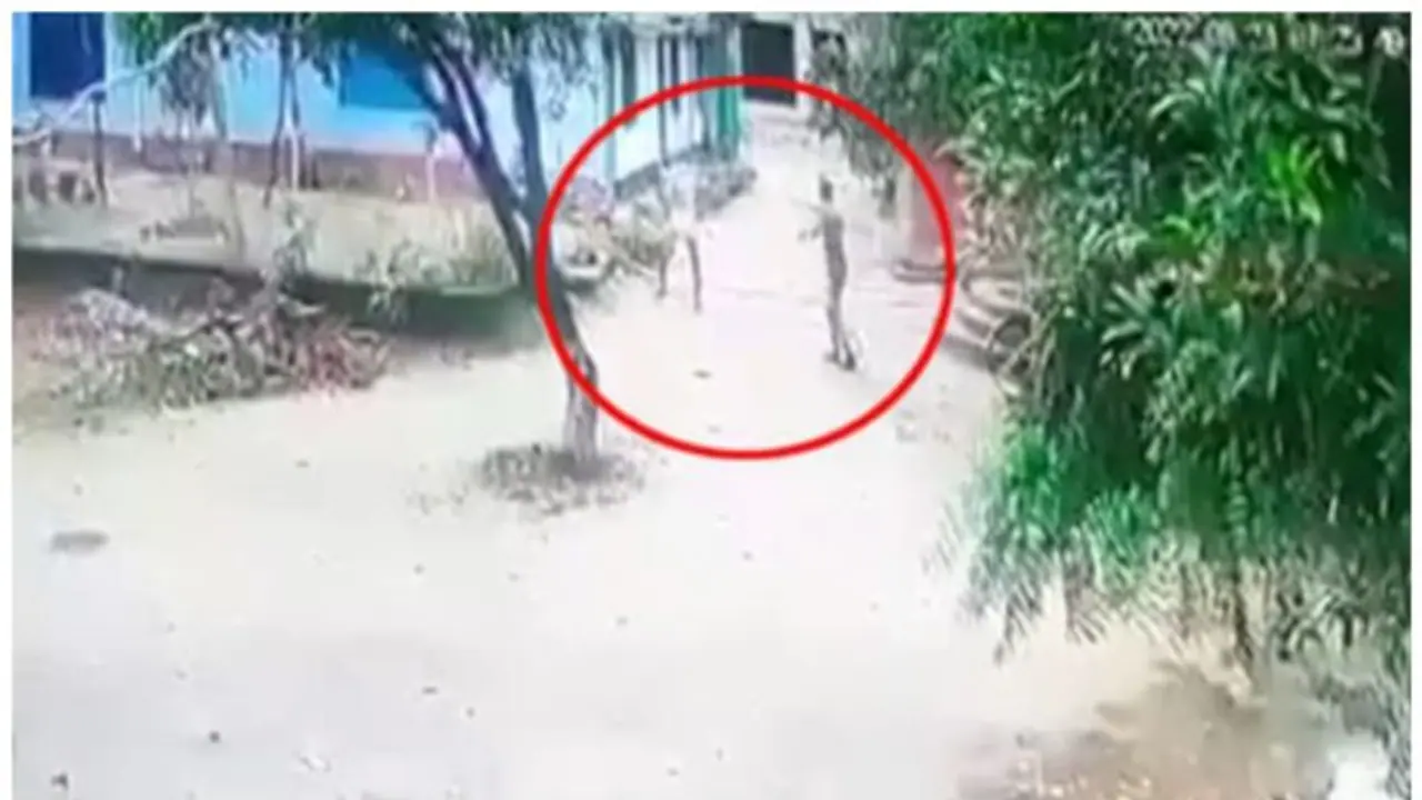 திண்டுக்கல்லில் ஓய்வு பெற்ற ராணுவ வீரர் துப்பாக்கிச்சூடு; 2 பேர் மருத்துவமனையில் அனுமதி