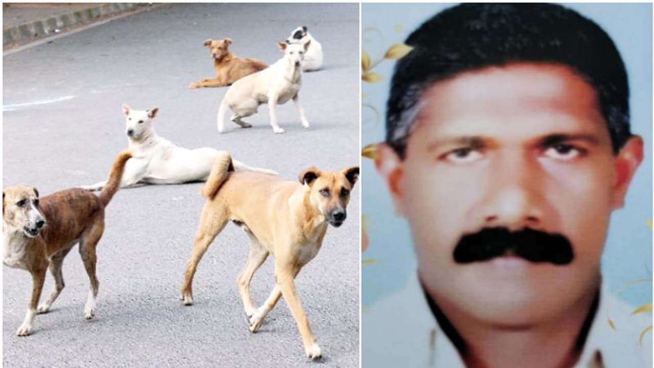 മാവേലിക്കരയിൽ നായ കുറുകെ ചാടി, സൈക്കിൾ ബാലൻസ് തെറ്റി; തറയിൽ വീണ് പരുക്കേറ്റയാൾ മരിച്ചു മാവേലിക്കരയിൽ നായ കുറുകെ ചാടി, സൈക്കിൾ ബാലൻസ് തെറ്റി; തറയിൽ വീണ് പരുക്കേറ്റയാൾ മരിച്ചു