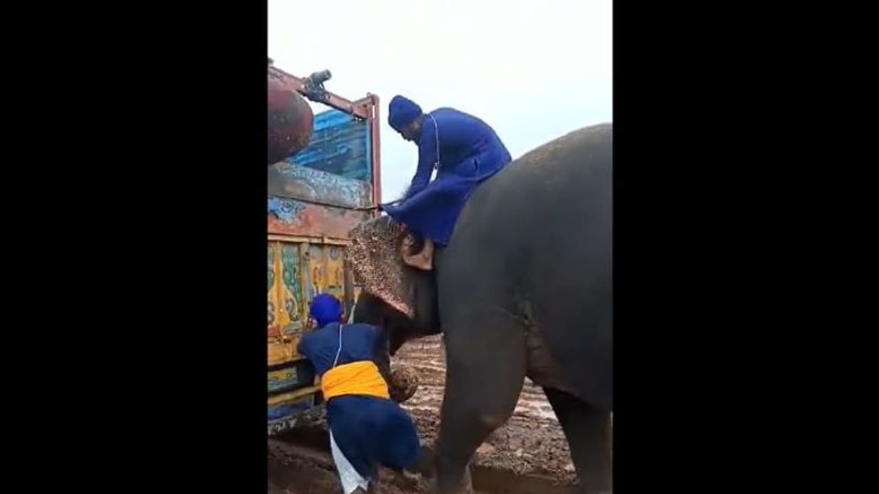 నేనున్నానంటూ ముందుకు వచ్చిన గజరాజు.. బురదలోని ట్రక్కును బయటకు లాగిన ఏనుగు .. వీడియో వైరల్ .. నేనున్నానంటూ ముందుకు వచ్చిన గజరాజు.. బురదలోని ట్రక్కును బయటకు లాగిన ఏనుగు .. వీడియో వైరల్ ..