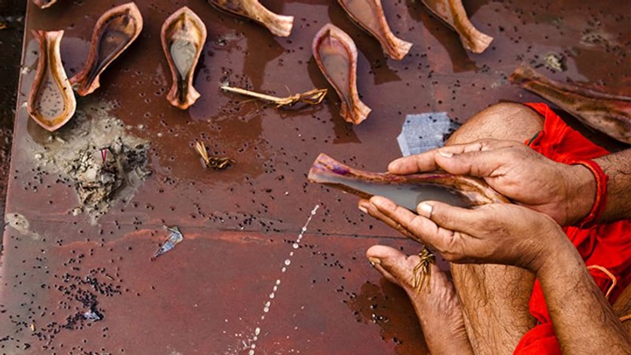 Sarva Pitru Amavasya 2022: पितृ दोष से बचने के लिए सर्व पितृ अमावस्या पर क्या करें और क्या नहीं?