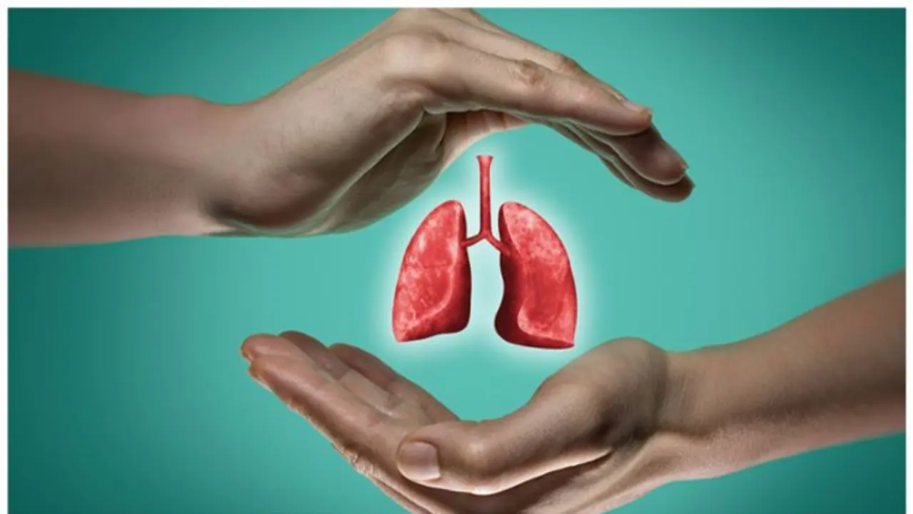 World Lung Day 2022 : ശ്വാസകോശ രോ​ഗങ്ങൾ എങ്ങനെ തടയാം?