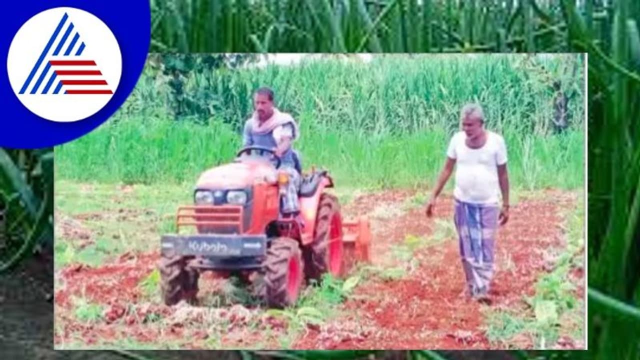 ಬೆಲೆ ಕುಸಿತ: 5 ಎಕರೆ ಸಮೃದ್ಧವಾಗಿ ಬೆಳೆದು ನಿಂತ ಈರುಳ್ಳಿ ಬೆಳೆ ನಾಶ ಮಾಡಿದ ರೈತ! ಬೆಲೆ ಕುಸಿತ: 5 ಎಕರೆ ಸಮೃದ್ಧವಾಗಿ ಬೆಳೆದು ನಿಂತ ಈರುಳ್ಳಿ ಬೆಳೆ ನಾಶ ಮಾಡಿದ ರೈತ!