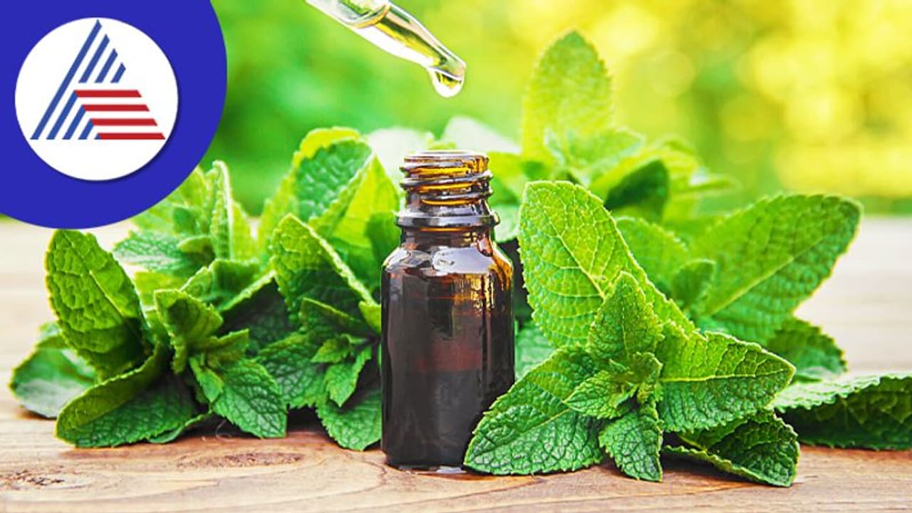 తలనొప్పి నుంచి శ్వాసకోశ సమస్యల వరకు.. పుదీనా నూనెతో ఎన్ని సమస్యలు తగ్గిపోతాయో..! తలనొప్పి నుంచి శ్వాసకోశ సమస్యల వరకు.. పుదీనా నూనెతో ఎన్ని సమస్యలు తగ్గిపోతాయో..!