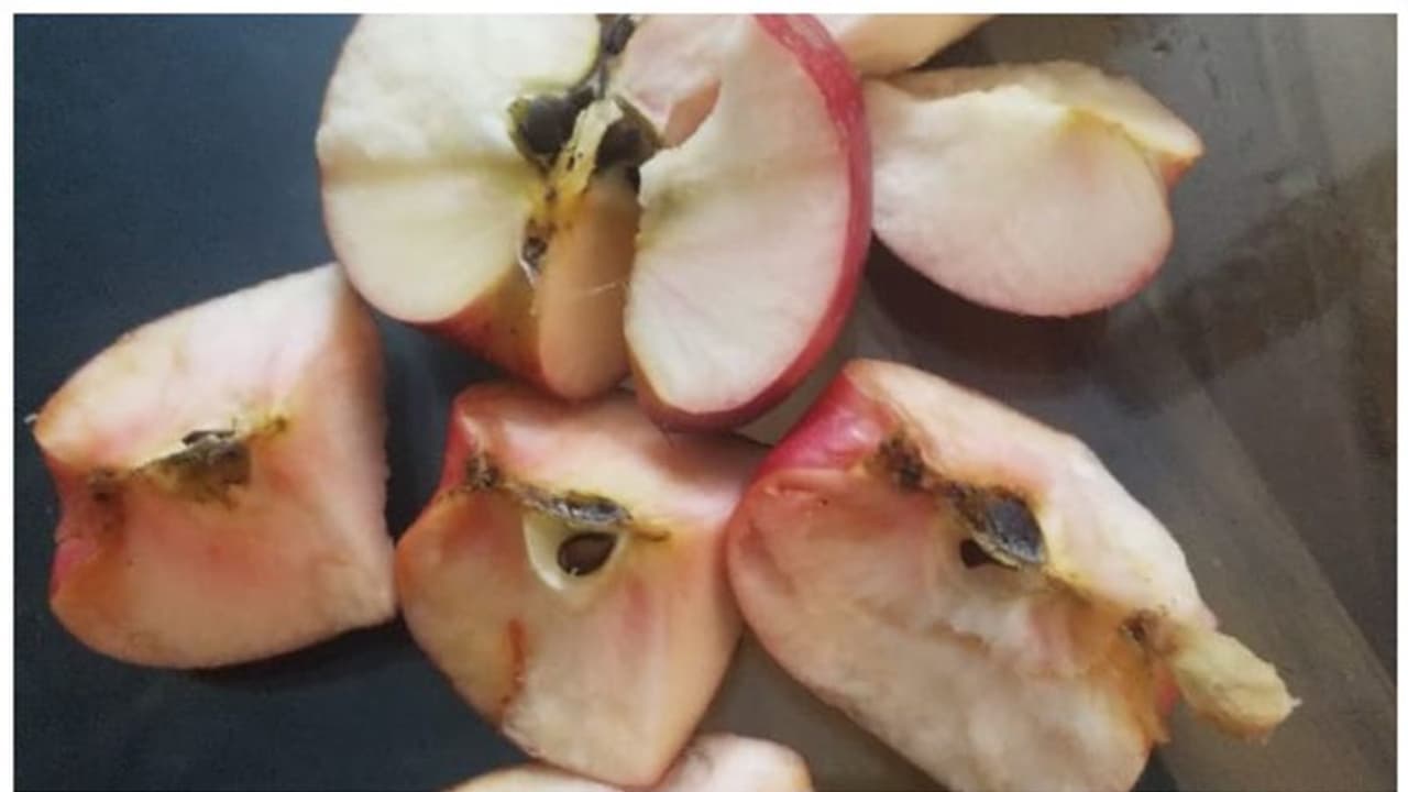 സൂചി കുത്തിയ പാടുകള്, മുറിച്ച് വച്ചാല് കറുപ്പും ചുവപ്പും നിറങ്ങള്; ആപ്പിള് കഴിച്ചവര്ക്ക് വയറുവേദന, ആശങ്ക സൂചി കുത്തിയ പാടുകള്, മുറിച്ച് വച്ചാല് കറുപ്പും ചുവപ്പും നിറങ്ങള്; ആപ്പിള് കഴിച്ചവര്ക്ക് വയറുവേദന, ആശങ്ക