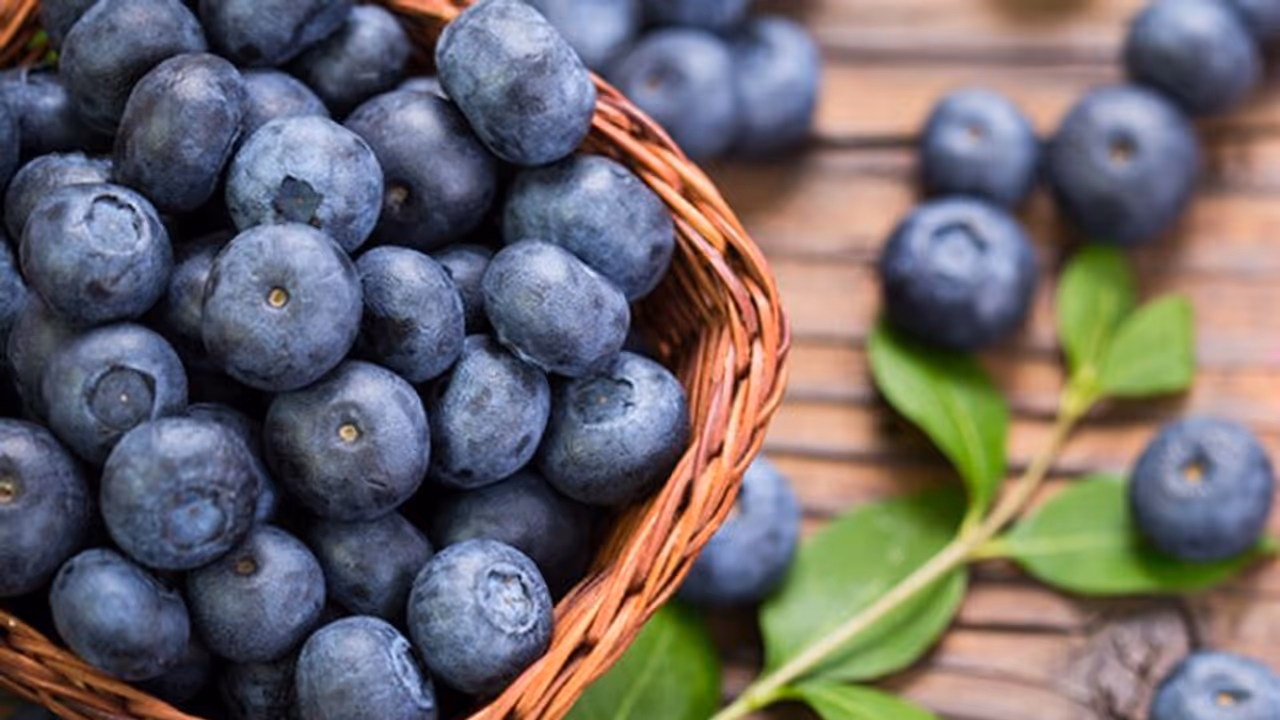 Benefits of Blueberries: അറിയാം ബ്ലൂബെറിയുടെ അത്ഭുത ഗുണങ്ങള്‍...