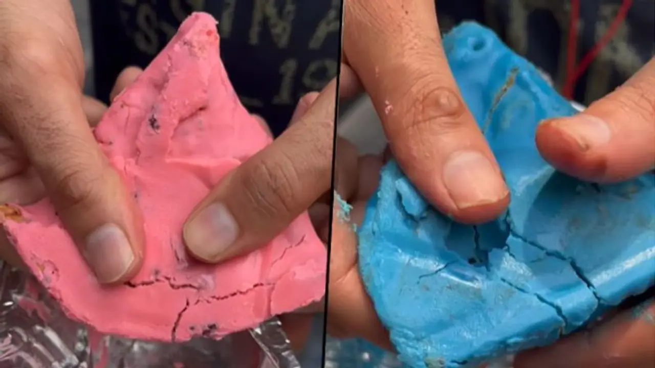 Viral video: Delhi food outlet serves strawberry and blueberry samosa, internet divided Viral video: Delhi food outlet serves strawberry and blueberry samosa, internet divided