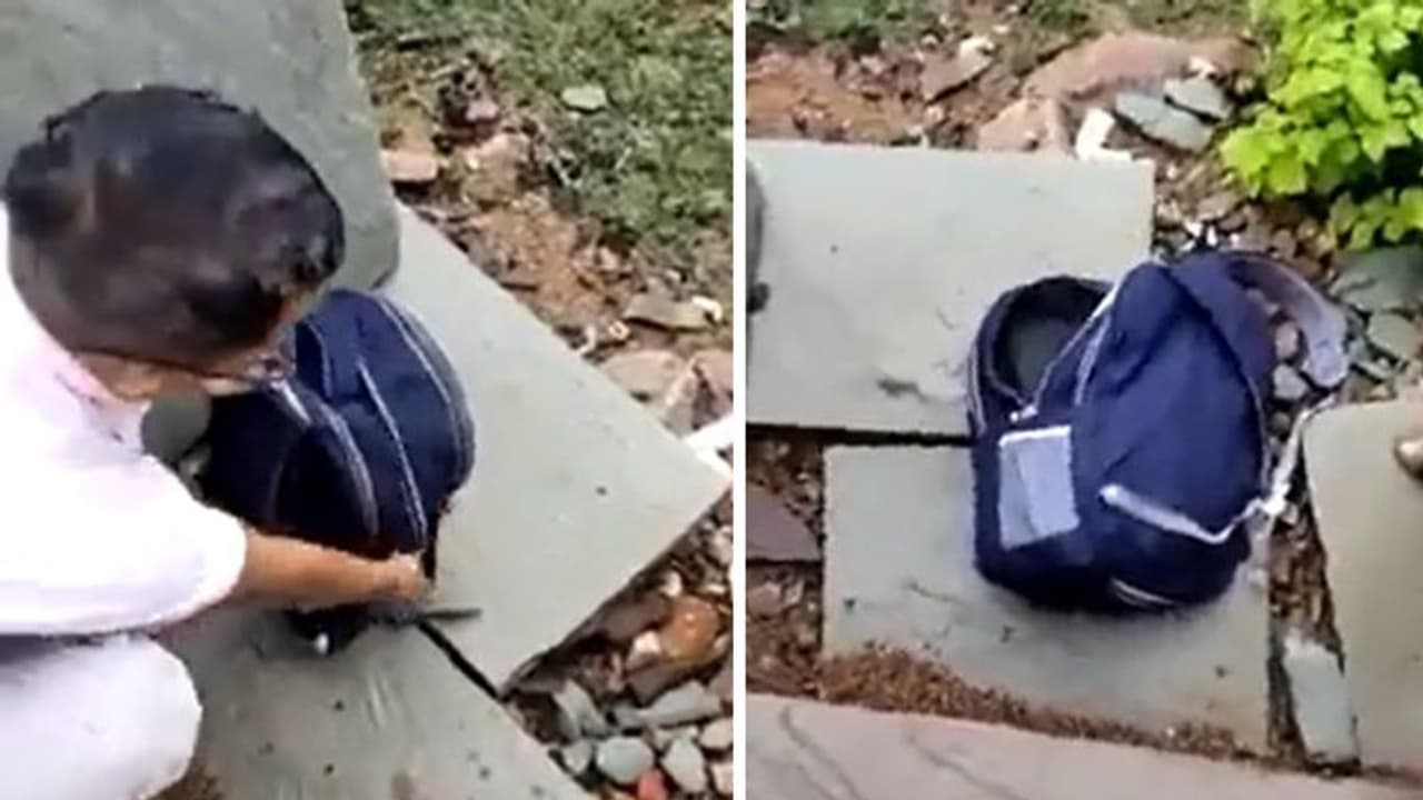 സംശയം തോന്നി വിദ്യാര്ത്ഥിയുടെ ബാഗ് പരിശോധിച്ചപ്പോള് കണ്ടത്; പേടിപ്പെടുത്തുന്ന വീഡിയോ സംശയം തോന്നി വിദ്യാര്ത്ഥിയുടെ ബാഗ് പരിശോധിച്ചപ്പോള് കണ്ടത്; പേടിപ്പെടുത്തുന്ന വീഡിയോ