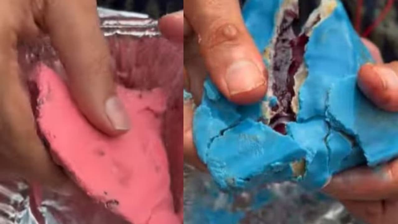 Food Video: ഇത് ബ്ലൂബെറി, സ്‌ട്രോബെറി സമൂസ; വിമര്‍ശനവുമായി സോഷ്യൽ മീഡിയ