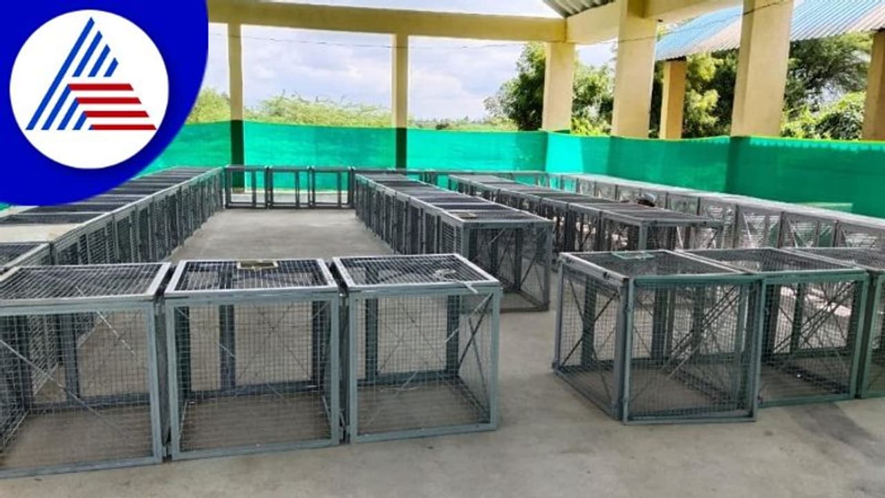 Chikkaballapur: ನಾಯಿಗಳ ಸಂತಾನಹರಣ ಶಸ್ತ್ರಚಿಕಿತ್ಸೆಗೆ ಸೂಚನೆ Chikkaballapur: ನಾಯಿಗಳ ಸಂತಾನಹರಣ ಶಸ್ತ್ರಚಿಕಿತ್ಸೆಗೆ ಸೂಚನೆ