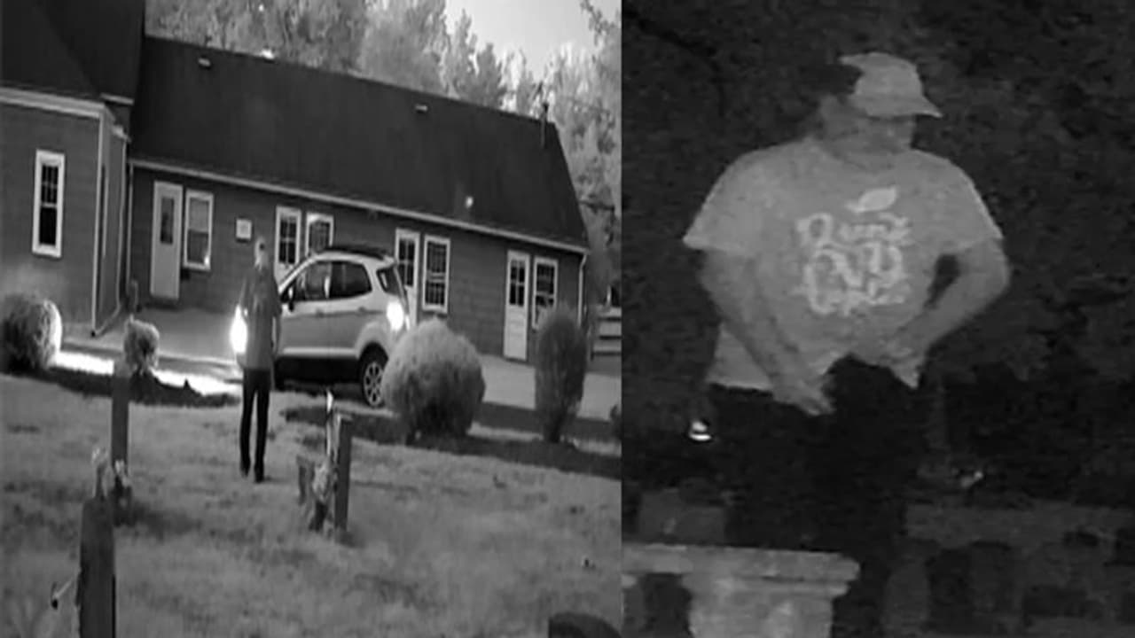 पूर्व पत्नी के कब्र पर हर रोज शख्स करता था ये 'गंदा काम', कैमरे में घिनौनी हरकत देख बेटा रह गया दंग