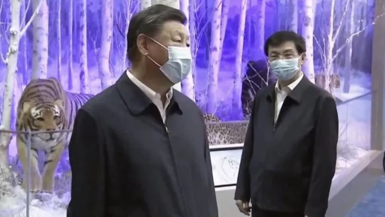 வீட்டு சிறையில் அதிபரா? வதந்திகளுக்கு முற்றுப்புள்ளி வைத்தார் சீனா அதிபர் ஜி ஜின்பிங்! வீட்டு சிறையில் அதிபரா? வதந்திகளுக்கு முற்றுப்புள்ளி வைத்தார் சீனா அதிபர் ஜி ஜின்பிங்!