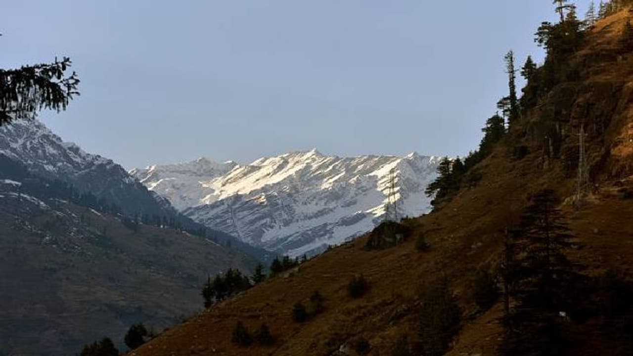 ഉണ്ടായിരുന്ന ജോലിയും കളഞ്ഞ് 3200 കിലോമീറ്റർ ട്രക്ക് ചെയ്ത് ദമ്പതികൾ, കാരണം... ഉണ്ടായിരുന്ന ജോലിയും കളഞ്ഞ് 3200 കിലോമീറ്റർ ട്രക്ക് ചെയ്ത് ദമ്പതികൾ, കാരണം...