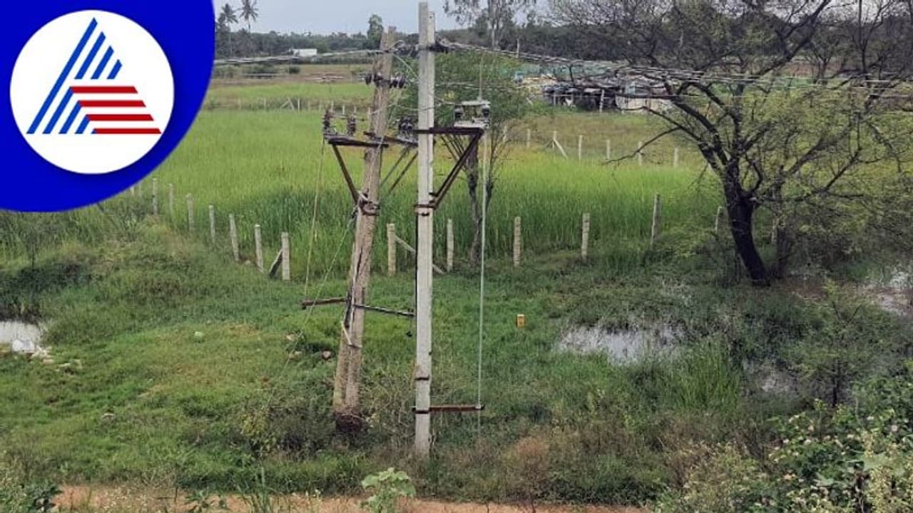 ಕೆರೆಗಳ ನಡುವೆ ಸಂಪರ್ಕಕ್ಕೆ ವಿದ್ಯುತ್ ಕಂಬಗಳೇ ಅಡ್ಡಿ! ಕೆರೆಗಳ ನಡುವೆ ಸಂಪರ್ಕಕ್ಕೆ ವಿದ್ಯುತ್ ಕಂಬಗಳೇ ಅಡ್ಡಿ!