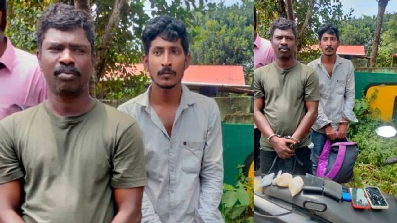 തിരുവനന്തപുരത്ത് വൻ ലഹരിവേട്ട, പിടികൂടിയത് ഒരു കോടി രൂപ വിലയുള്ള ലഹരി വസ്തുക്കൾ