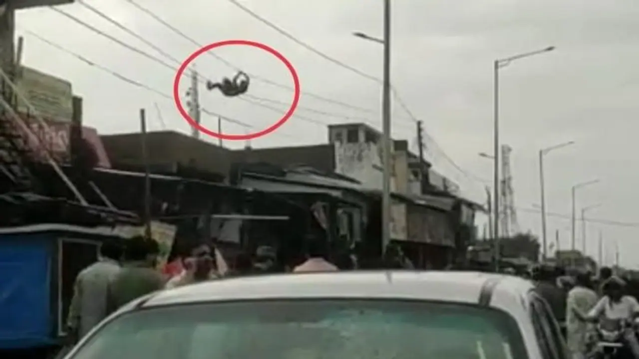 11000 वोल्ट वाले तार पर युवक को स्टंट करता देख लग गई भीड़, वजह जान लोगों ने पीट लिया सिर 11000 वोल्ट वाले तार पर युवक को स्टंट करता देख लग गई भीड़, वजह जान लोगों ने पीट लिया सिर