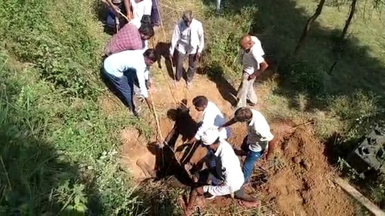 यह राजस्थान है, यहां बच्चों की तरह पालते हैं मवेशियों को, उनको बचाने लगा देते है जान की बाजी, जानिए पूरा मामला यह राजस्थान है, यहां बच्चों की तरह पालते हैं मवेशियों को, उनको बचाने लगा देते है जान की बाजी, जानिए पूरा मामला