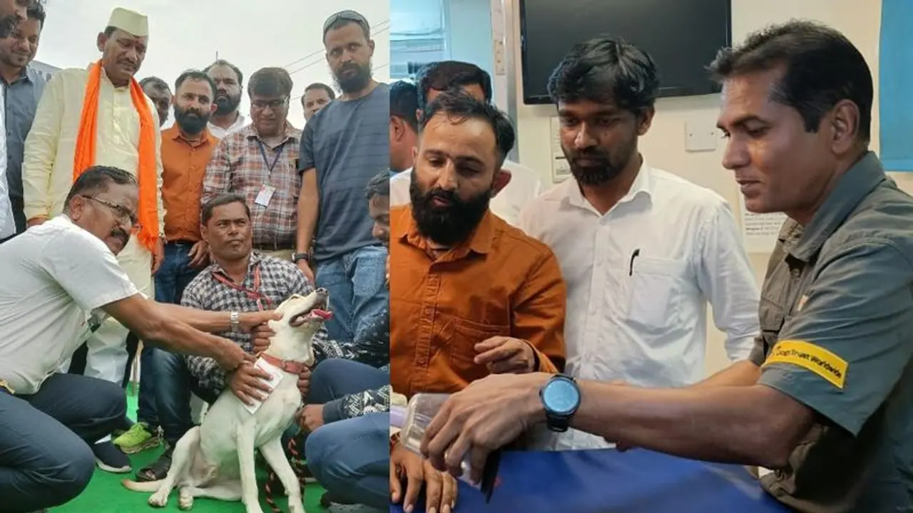 ಸಾಕು ನಾಯಿಗಳಿಗೆ ತಪ್ಪದೇ ರೇಬೀಸ್ ಲಸಿಕೆ ನೀಡಿ: ಸಚಿವ ಪ್ರಭು ಚವ್ಹಾಣ 