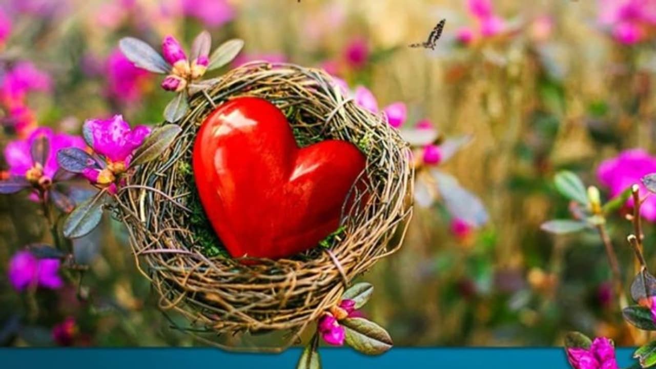 World Heart Day 2022: ഇന്ന് ലോക ഹൃദയ ദിനം; ഹൃദയാരോഗ്യം സംരക്ഷിക്കാന് ചെയ്യേണ്ട കാര്യങ്ങള്... World Heart Day 2022: ഇന്ന് ലോക ഹൃദയ ദിനം; ഹൃദയാരോഗ്യം സംരക്ഷിക്കാന് ചെയ്യേണ്ട കാര്യങ്ങള്...