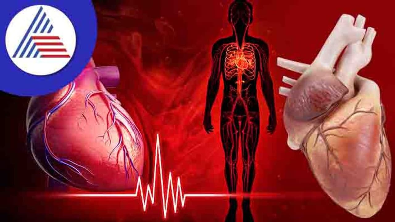 World Heart Day: ಸ್ತಂಭನವಾಗದಂತೆ ಇರಿ ಜೋಪಾನ World Heart Day: ಸ್ತಂಭನವಾಗದಂತೆ ಇರಿ ಜೋಪಾನ