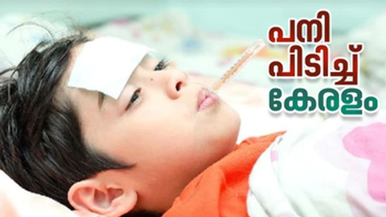 കേരളം വീണ്ടും പനിക്കിടക്കയില്; ആരോഗ്യ പ്രശ്നങ്ങള് കൂടുന്നു കേരളം വീണ്ടും പനിക്കിടക്കയില്; ആരോഗ്യ പ്രശ്നങ്ങള് കൂടുന്നു