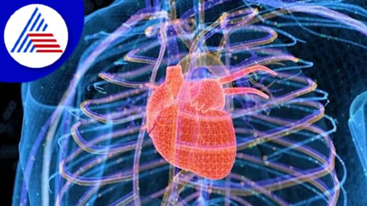 ಹಾರ್ಟ್‌ಗೂ ಆಗುತ್ತೆ ಶಾರ್ಟ್ ಸರ್ಕ್ಯೂಟ್! ನಿಮಗಿದ್ಯಾ ಹೃದಯ ಬಡಿತ ಏರುಪೇರಾಗೋ ಸಮಸ್ಯೆ?