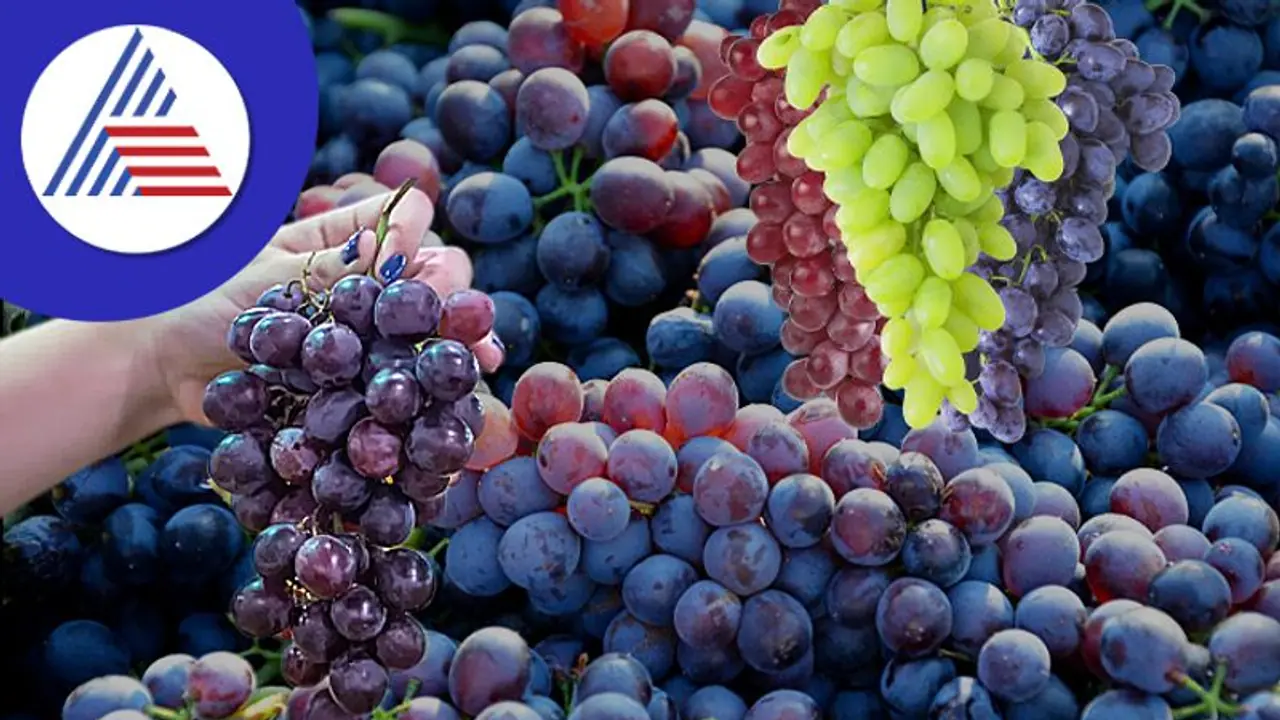 ಇನ್ನೇನು ದ್ರಾಕ್ಷಿ ಸೀಸನ್, ಸರಿಯಾಗಿ ತೊಳೆದು ಬಳಸೋದ ಮರೀಬೇಡಿ