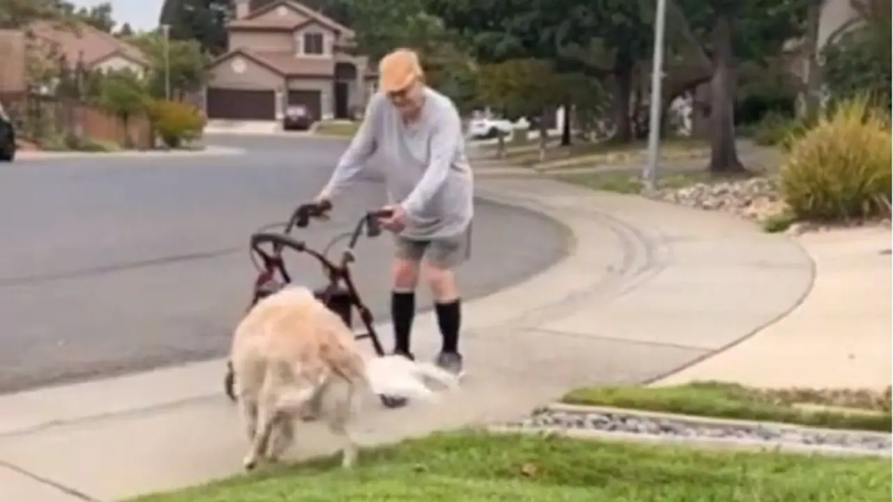 ವಾಕಿಂಗ್ ಹೋಗುವ ತಾತನಿಗಾಗಿ ದಿನವೂ ಕಾಯುವ ಶ್ವಾನ: ಮುದ್ದಾದ ವಿಡಿಯೋ ವೈರಲ್