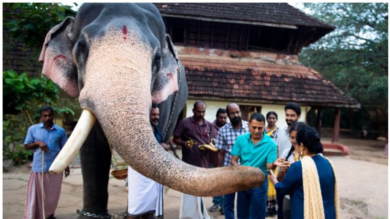 ഐഎൻഎസ് വിക്രാന്തിന്‍റെ അമരക്കാരൻ ഗുരുവായൂരിൽ, ദർശനം നടത്തി; ഗജവീരന്മാർക്ക് സ്നേഹ സമ്മാനവും നൽകി