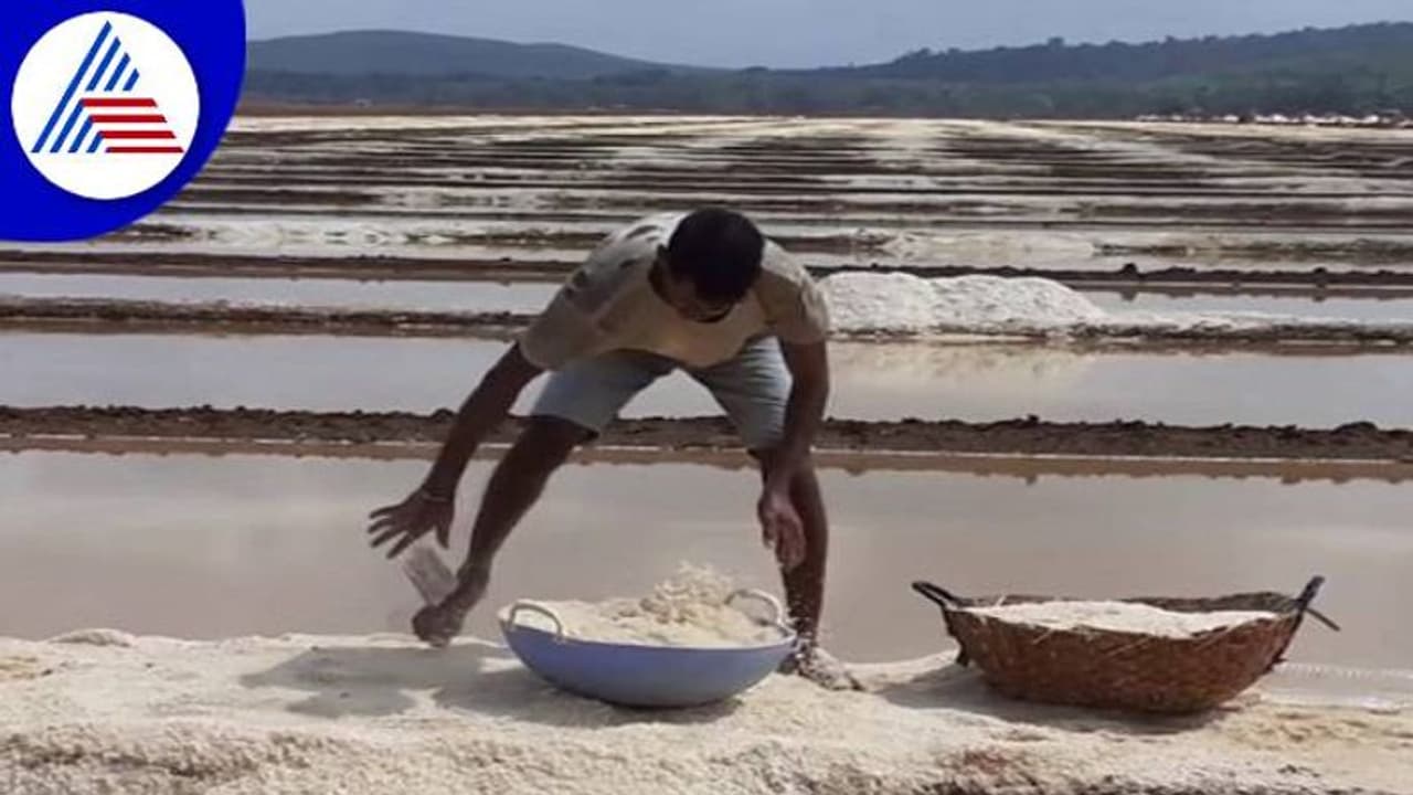 ಉತ್ತರಕನ್ನಡ: ಹವಾಮಾನ ವೈಪರೀತ್ಯ: ಸಾಂಪ್ರದಾಯಿಕ ಉಪ್ಪಿನ ಕೊರತೆ